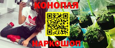 прущая мука Ликино-Дулёво
