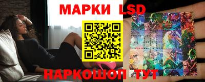 шишки Лесосибирск