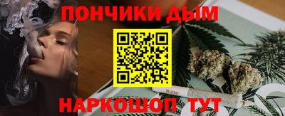 шишки Лесосибирск