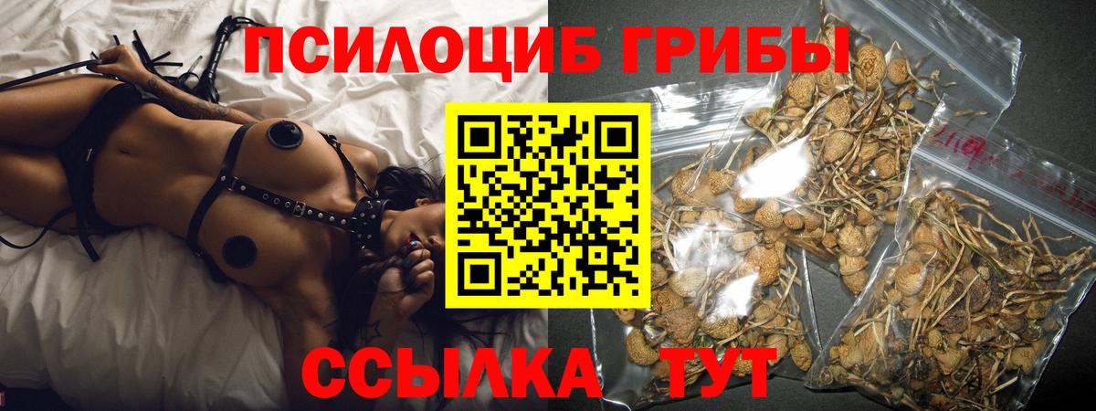 Галлюциногенные грибы Cubensis Электросталь